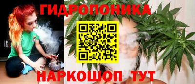 крисы Пыть-Ях