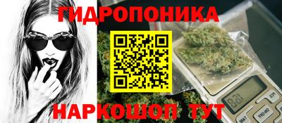 крисы Пыть-Ях