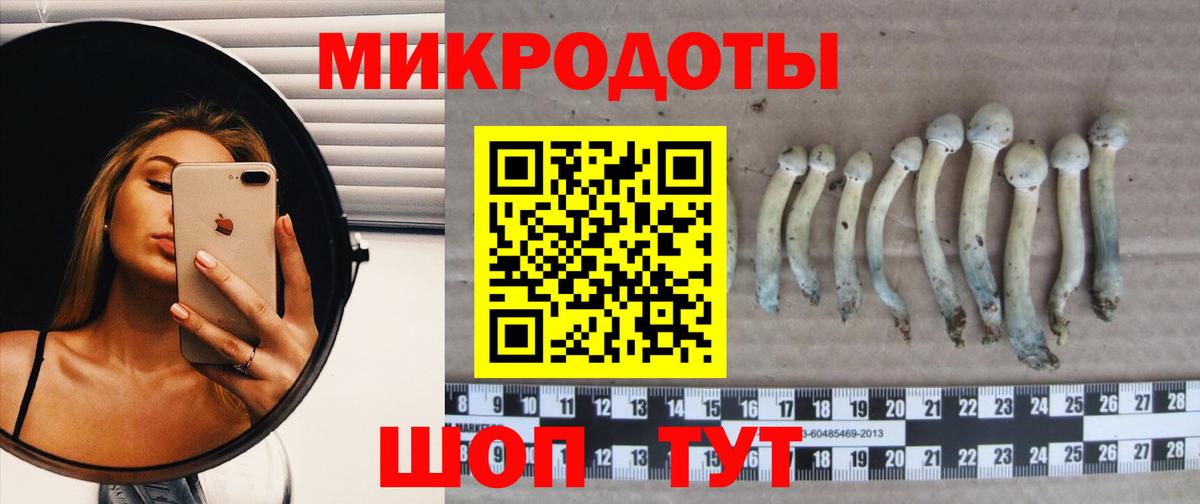 Псилоцибиновые грибы Magic Shrooms Саяногорск