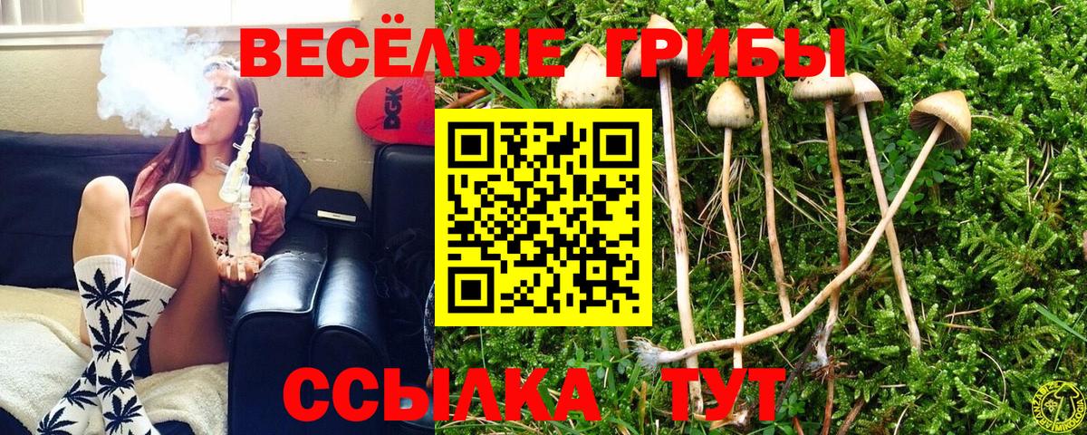 Галлюциногенные грибы ЛСД  Галлюциногенные грибы MAGIC MUSHROOMS  закладка  Саяногорск  Вход с VPN 
